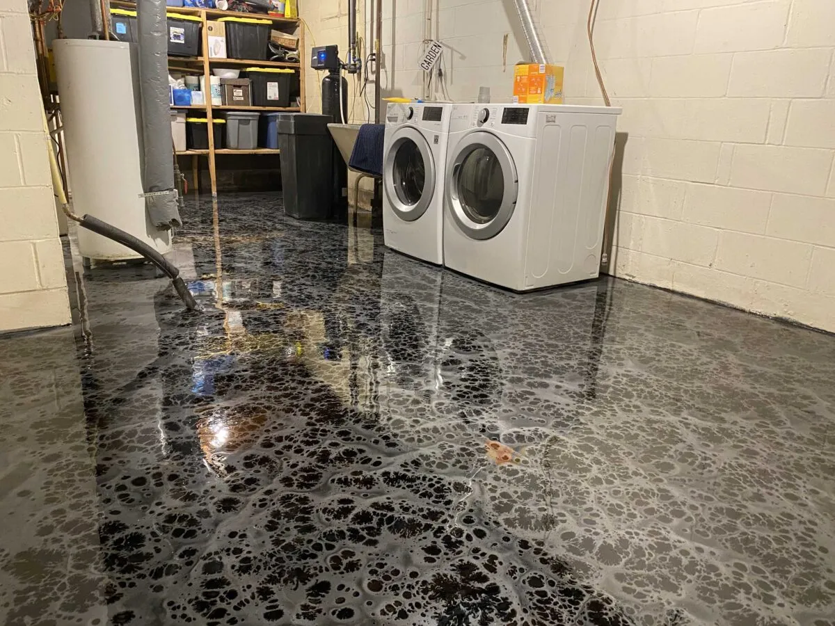 IMG_2403-1200×900-1